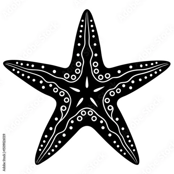 Fototapeta vector illustration of a starfish on a white background.