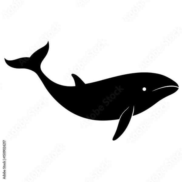 Fototapeta vector illustration of a Whale on a white background.
