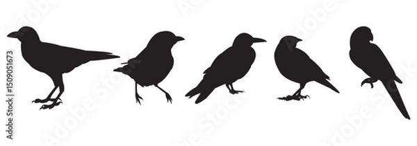 Fototapeta Birds in Flight Silhouette . Minimalist Bird Silhouette set . on white background .