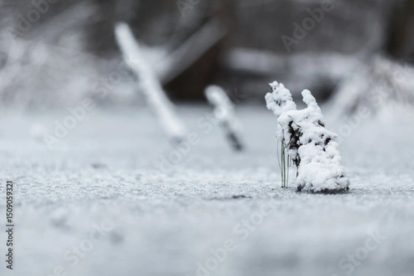 Fototapeta Snow on a frozen lake in outdoor nature in a forest. Cold weather with ice