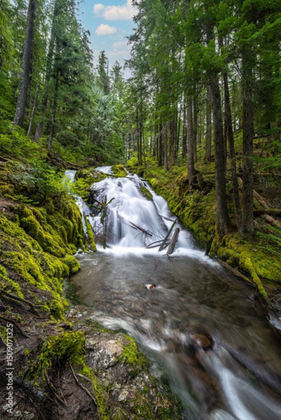 Fototapeta Little Zigzag Falls in Oregon