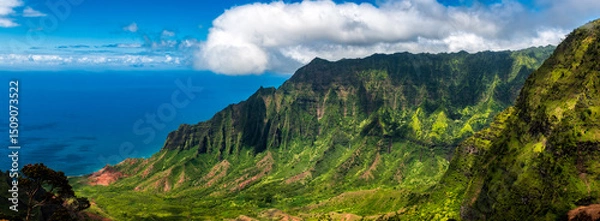 Obraz Kalalau lookout panorama on Hawaii island Kauai. The Kalalau Valley and Na Pali coast