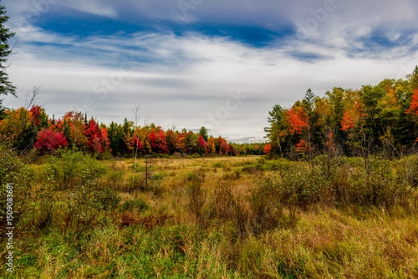 Obraz autumn landscape with red and blue sky
