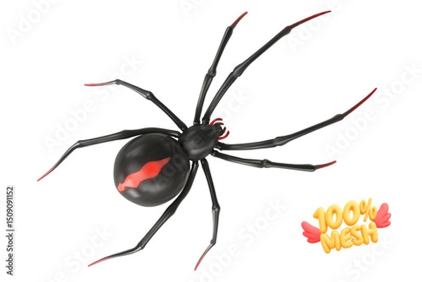 Fototapeta Vector realistic isolated black widow spider on white background.