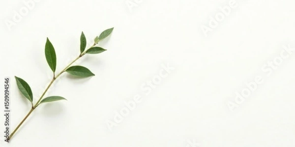 Fototapeta Simple Green Branch on White Background A Minimalist Botanical Image Perfect for Nature-Themed Designs and Projects
