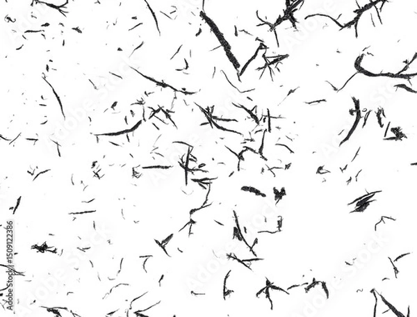 Fototapeta Pile of black eraser crumbs on a white background, top view. Eraser crumbs, eraser scrap.
