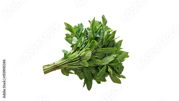 Fototapeta Mint (Menta), fragrant and refreshing herb used in cooking. It aids digestion, relieves respiratory issues, and boosts immunity. Rich in essential oils, vitamins, and antioxidants, it supports health