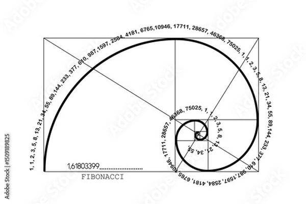 Obraz Fibonacci Sequence Spiral. Golden ratio. Geometric shapes Circles in golden proportion. Futuristic minimalist fashion design. Logo. Vector icon isolate on white background