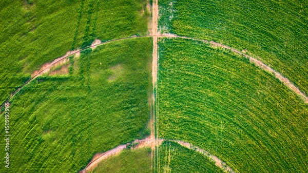 Fototapeta Aerial Center Pivot Irrigation Circles and Crop Fields Geometric Paths Top Down