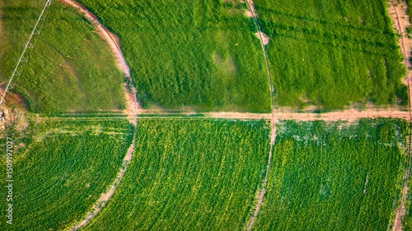 Fototapeta Aerial Crop Circles and Farmland Patterns with Dirt Paths Top Down View