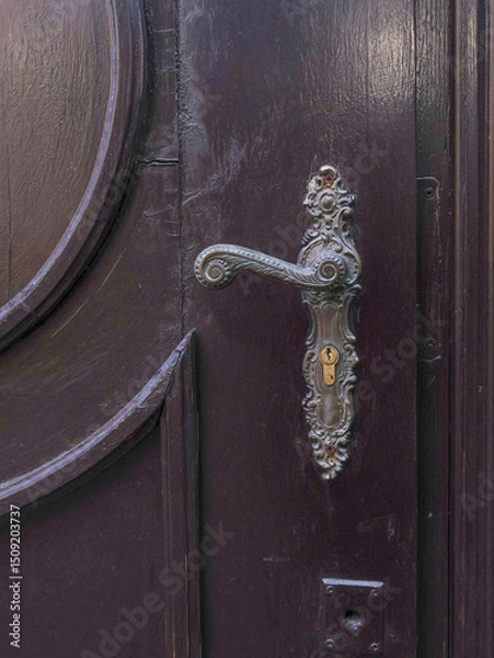 Fototapeta Part of the door, dark in color, with a very beautiful handle, of a special shape