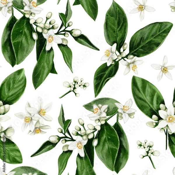 Obraz Seamless pattern of orange tree flowers. Leaves and branches with white buds and flowers. Orange blossom. Small white spring flowers. illustration without background. Hand drawn
