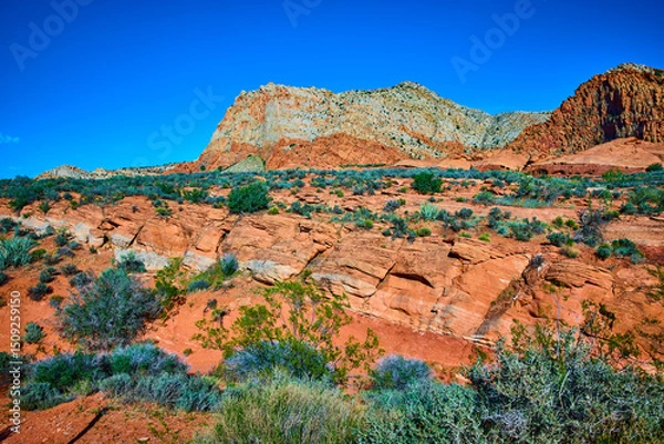 Fototapeta Red Sandstone Cliffs and Desert Vegetation Babylon Arch Utah Eye Level View