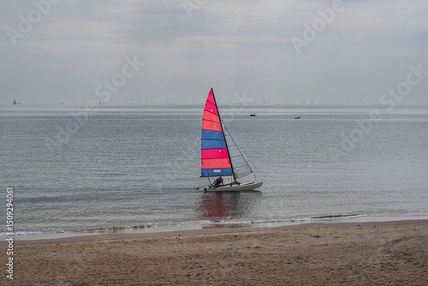 Fototapeta A small catamaran sails along the beach in Brittany