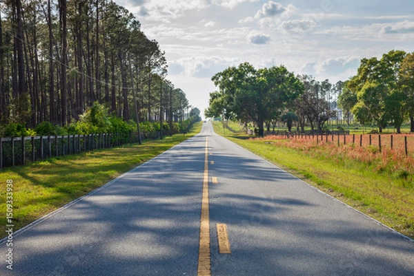 Obraz Low angle view of two lane asphalt highway in rural central Florida on a sunny afternoon