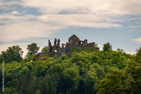 Obraz castle in the forest