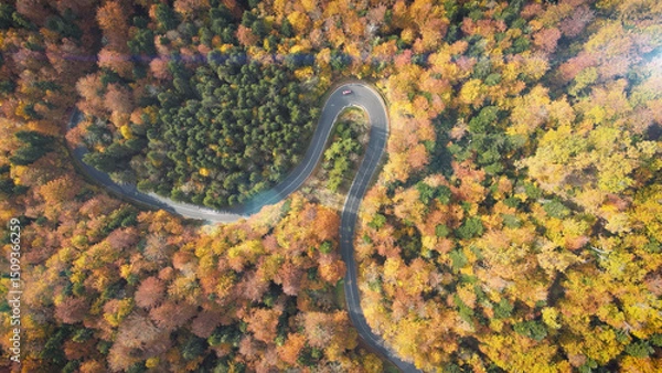 Obraz Aerial view of a winding road through a colorful autumn forest with a red electric car