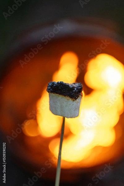Obraz A burnt Marshmallow in front of a bonfire 