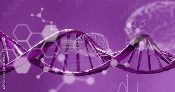 Fototapeta Image of chemical structures, human brains and data processing over dna strand spinning