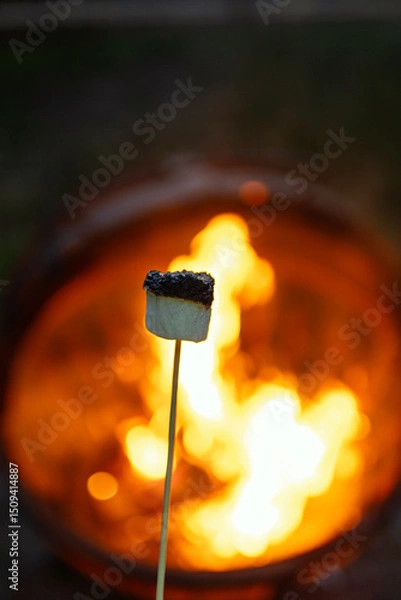 Obraz Burnt Marshmallow in front of a fire 