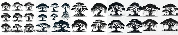 Obraz Vector set image silhouette of banyan tree.