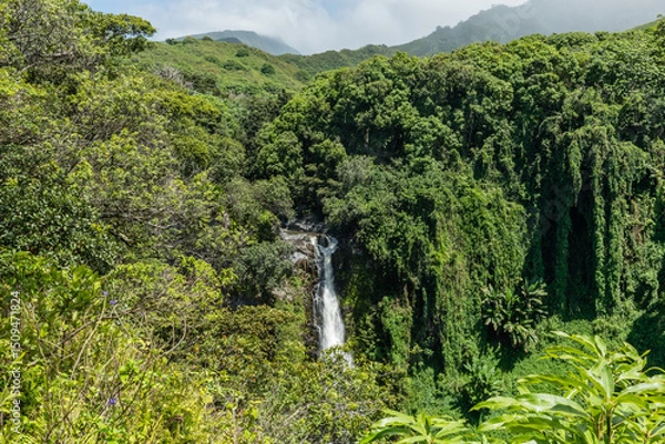 Obraz Falls of Makahiku, Pipiwai Trail, Maui, Hawaii