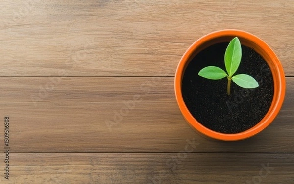 Obraz A small green seedling grows in a brown pot on a wooden surface, symbolizing new beginnings and growth.