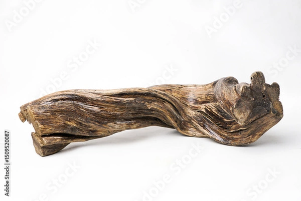 Fototapeta Horizontal twisted forest root with natural texture and organic shape. Isolated wood element from tropical jungle, perfect for nature-themed design and rustic composition.