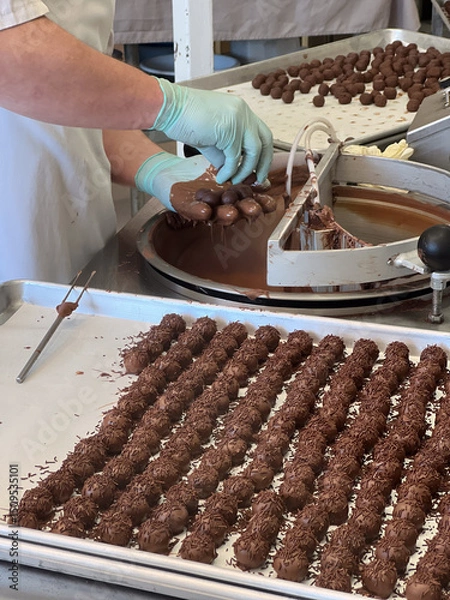 Fototapeta Confections chocolate factory workers preparing dipped Chocolate balls in Kitchen