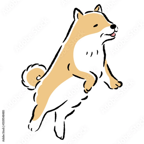 Obraz ジャンプするシニア犬の手描きイラスト