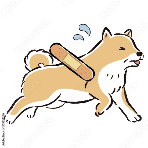 Obraz 怪我をして困った表情のシニア犬のイラスト