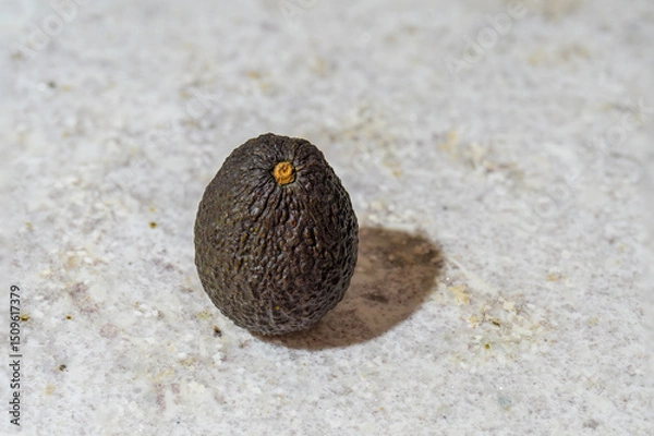 Fototapeta A close-up of a ripe Hass avocado resting on a white marble countertop. The avocado’s dark, textured skin contrasts beautifully against the bright, smooth surface