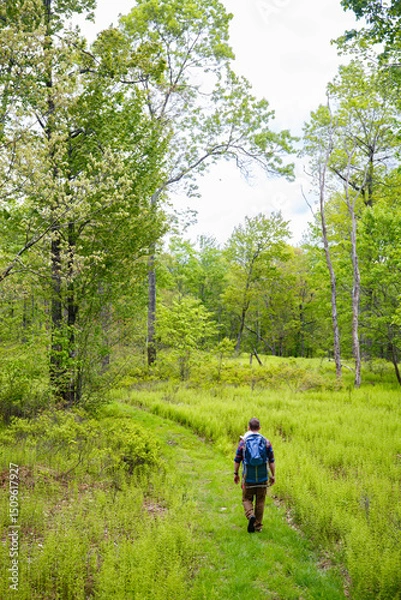 Fototapeta Man Walking in Lush Forest Field with Baby in Backpack