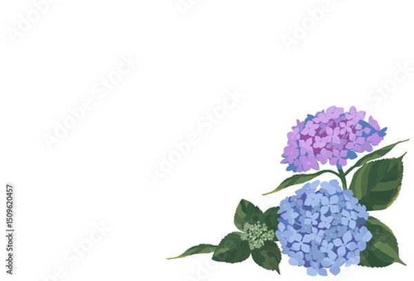 Obraz アジサイのイラストフレーム(横長)