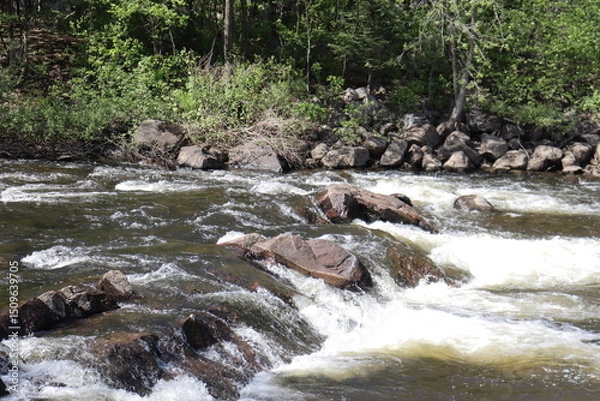 Fototapeta River in the forest. Summer calendar and rapids in the nature with trees. Driking water of a city. The current of the water and stones with waterfalls. The St-Charles river in Quebec and in spring.