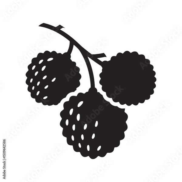 Obraz  black silhouette of a lychee branch with clustered fruits and detailed leaves