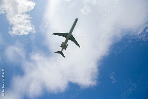 Obraz airplane in flight