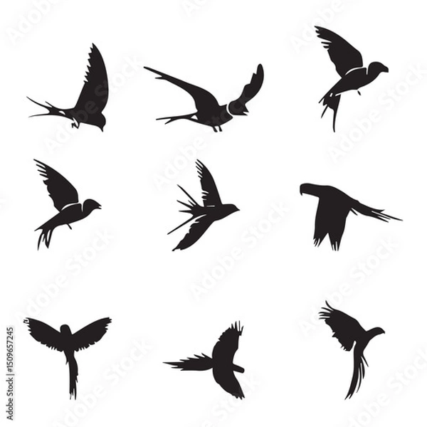 Fototapeta group parrot vector  image