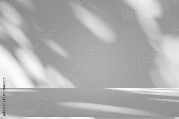 Fototapeta Wall interior background, studio and backdrops show products.with shadow from window color white and grey. background for text insertion and presentation product	
