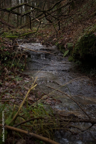 Fototapeta Shallow stream in German forest