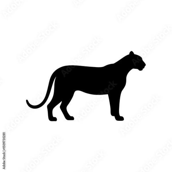 Fototapeta Black Silhouette Of a Side View Cougar on White Background vector illustration