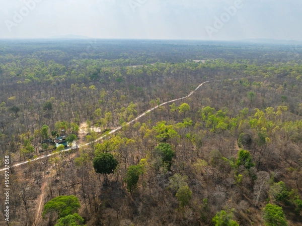 Fototapeta Landscape of Buon Don district in Dak Lak province, Vietnam, showcasing a blend of greenery and dry foliage in the evolving ecosystem