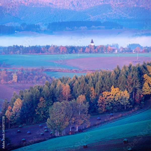 Obraz 紅葉の丘と白い塔（美瑛町）