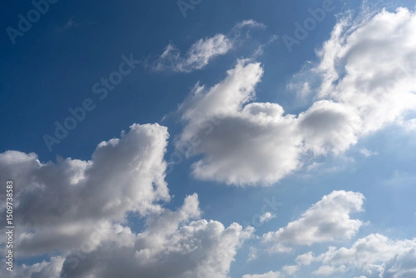 Obraz Soft, fluffy clouds float lazily in a clear blue sky during the day. Sunlight illuminates the white clouds, creating a serene visual experience perfect for daydreaming or inspiration.