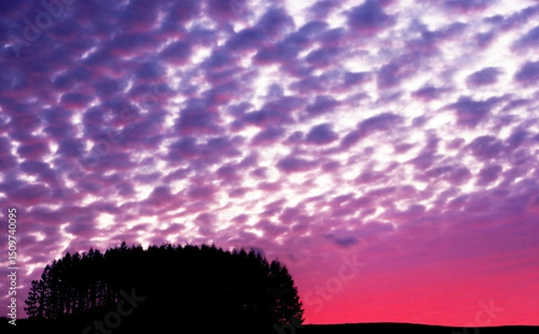 Obraz うろこ雲赤く（上富良野町）.