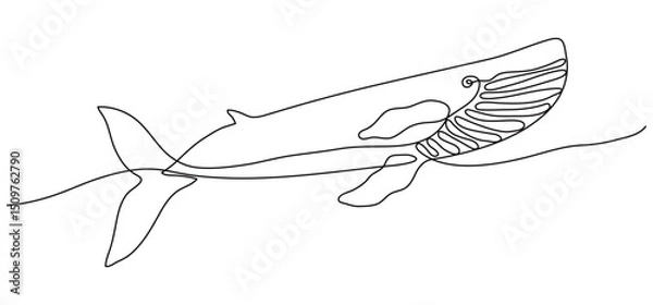 Fototapeta Whale silhouette One continuous line art. Hand drawn minimalism style vector illustration. Editable stroke ocean animal. Outline drawing for poster card banner.