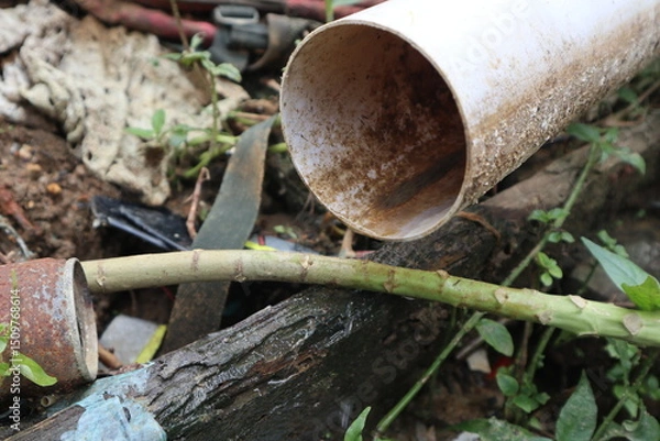 Fototapeta axe and firewood