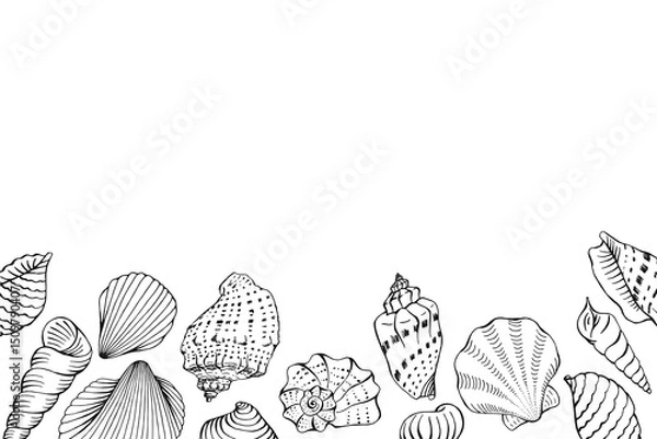 Obraz Frame with seashells with copy space for design or message.  Hand drawn