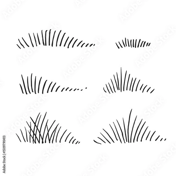 Obraz Grass. Hand drawn vector illustration.