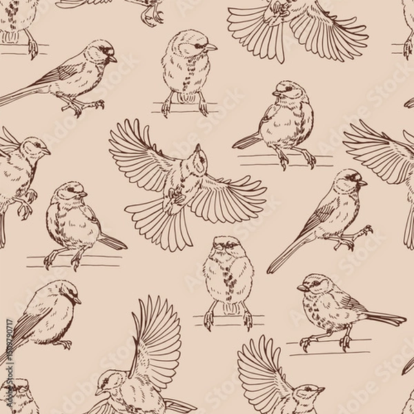 Obraz Seamless pattern with titmouse. Hand drawn vector illustration.